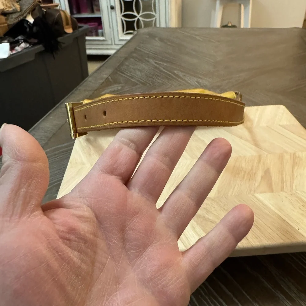Louis Vuitton Mustard Crossbody Bag - Picture 12 of 12